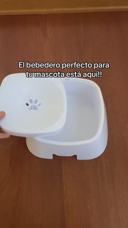 Bebedero Antisalpicaduras Magic Bowl®